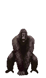 Dark Kong